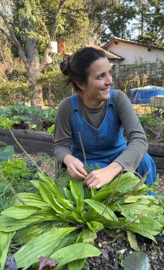 whatsapp image 2025 12 02 at 19.12.32