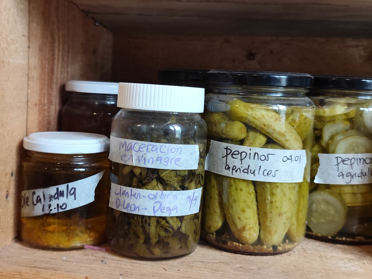 whatsapp image 2025 12 02 at 19.41.31