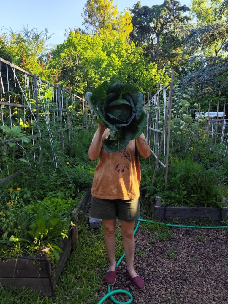 whatsapp image 2025 12 02 at 19.41.33