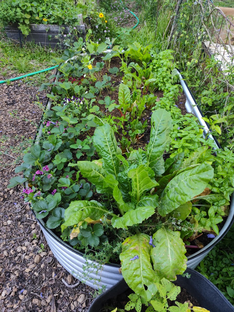 whatsapp image 2025 12 02 at 19.41.39 (2)