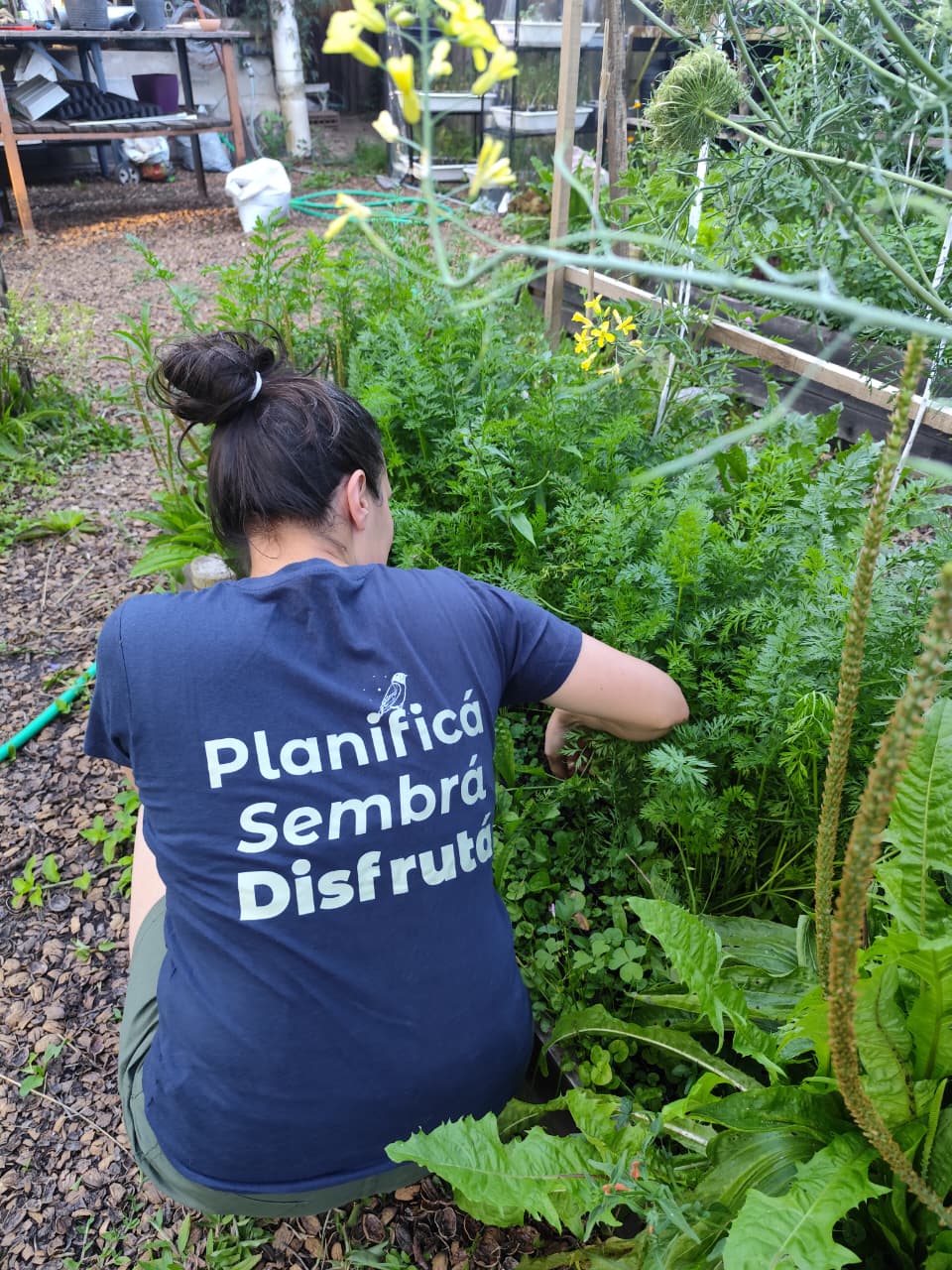 whatsapp image 2025 12 02 at 19.41.39 (3)