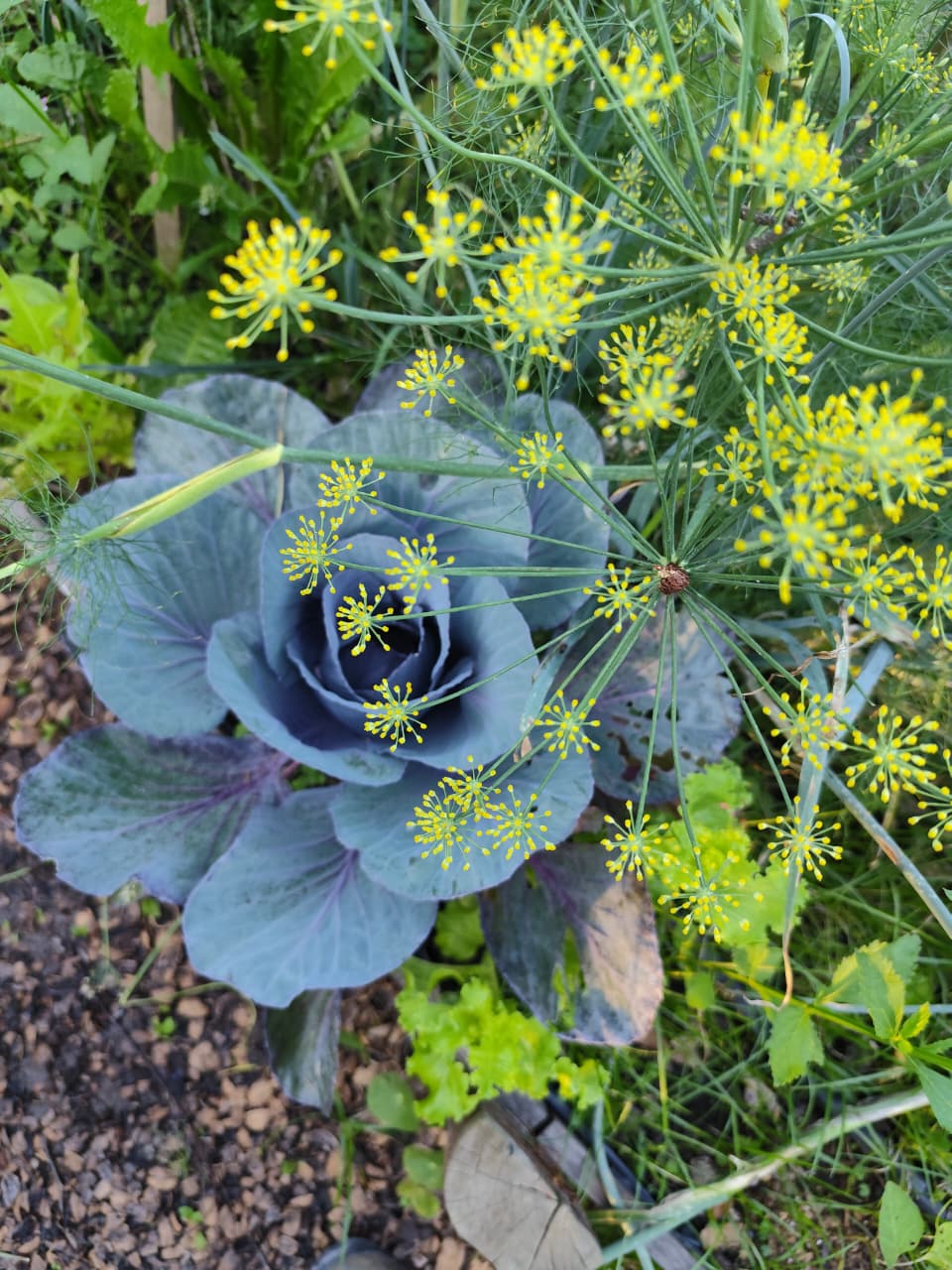 whatsapp image 2025 12 02 at 19.41.49