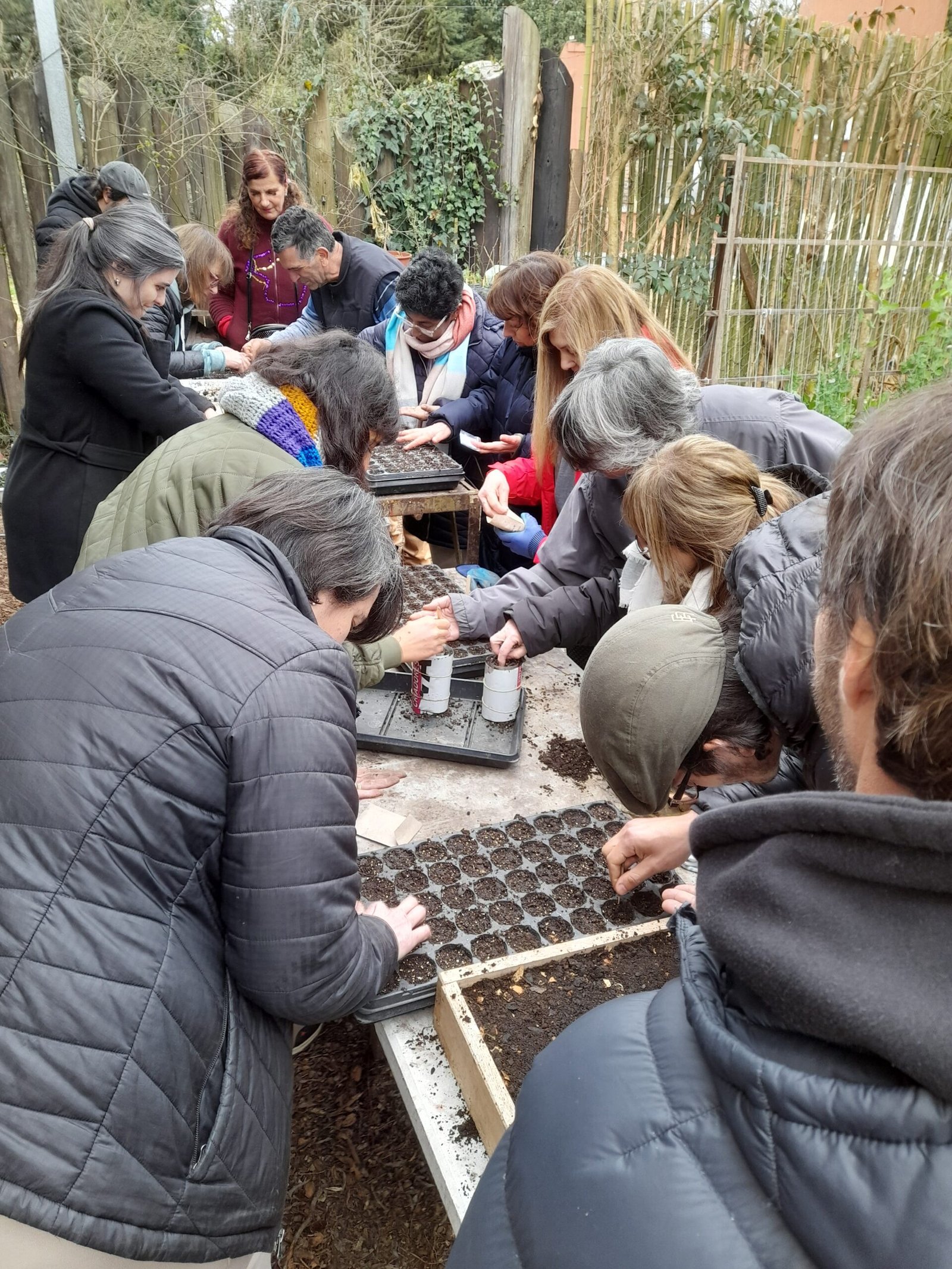 Taller de huerta Presencial - Imagen 3