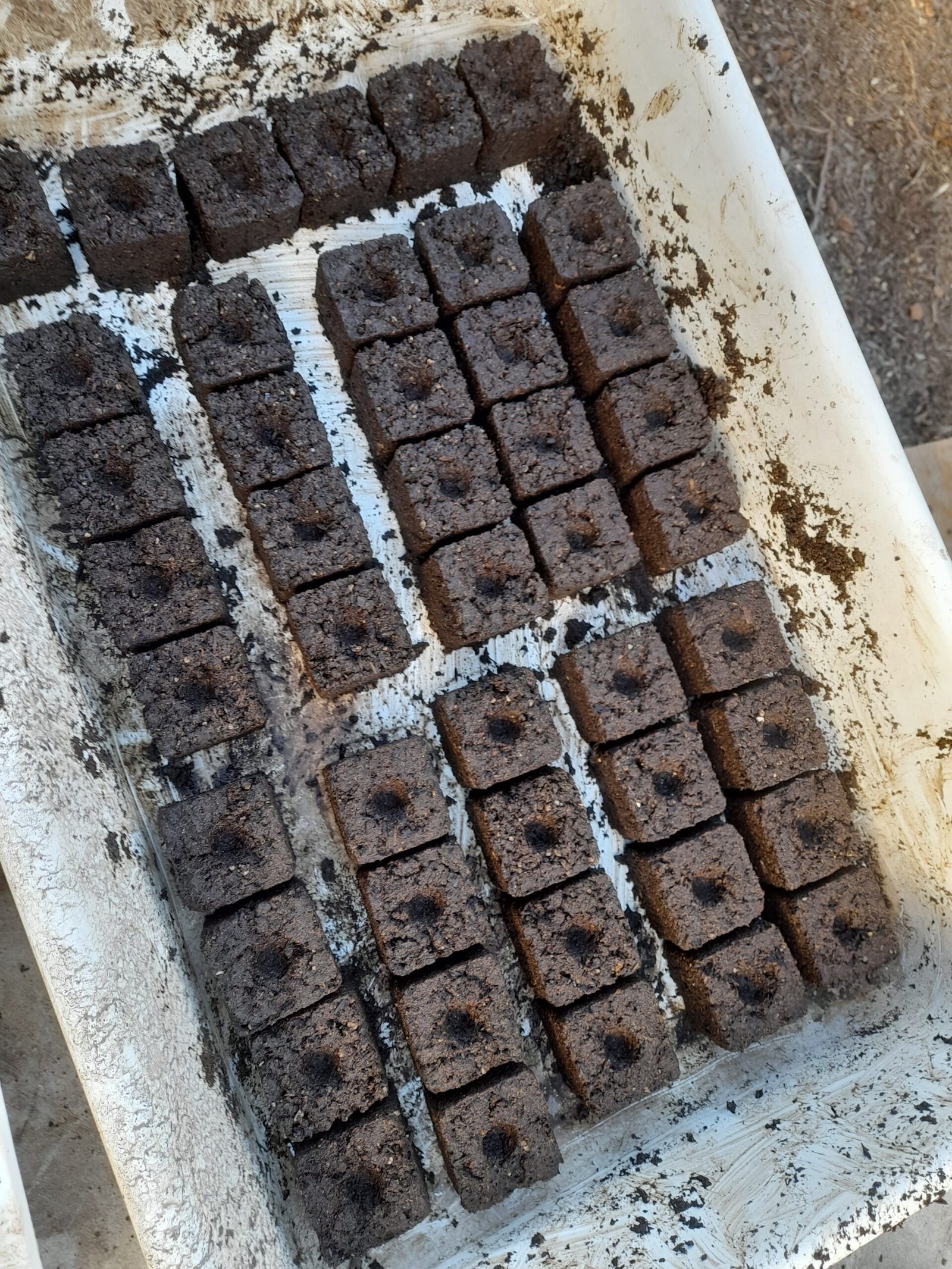 Taller de huerta Presencial - Imagen 2