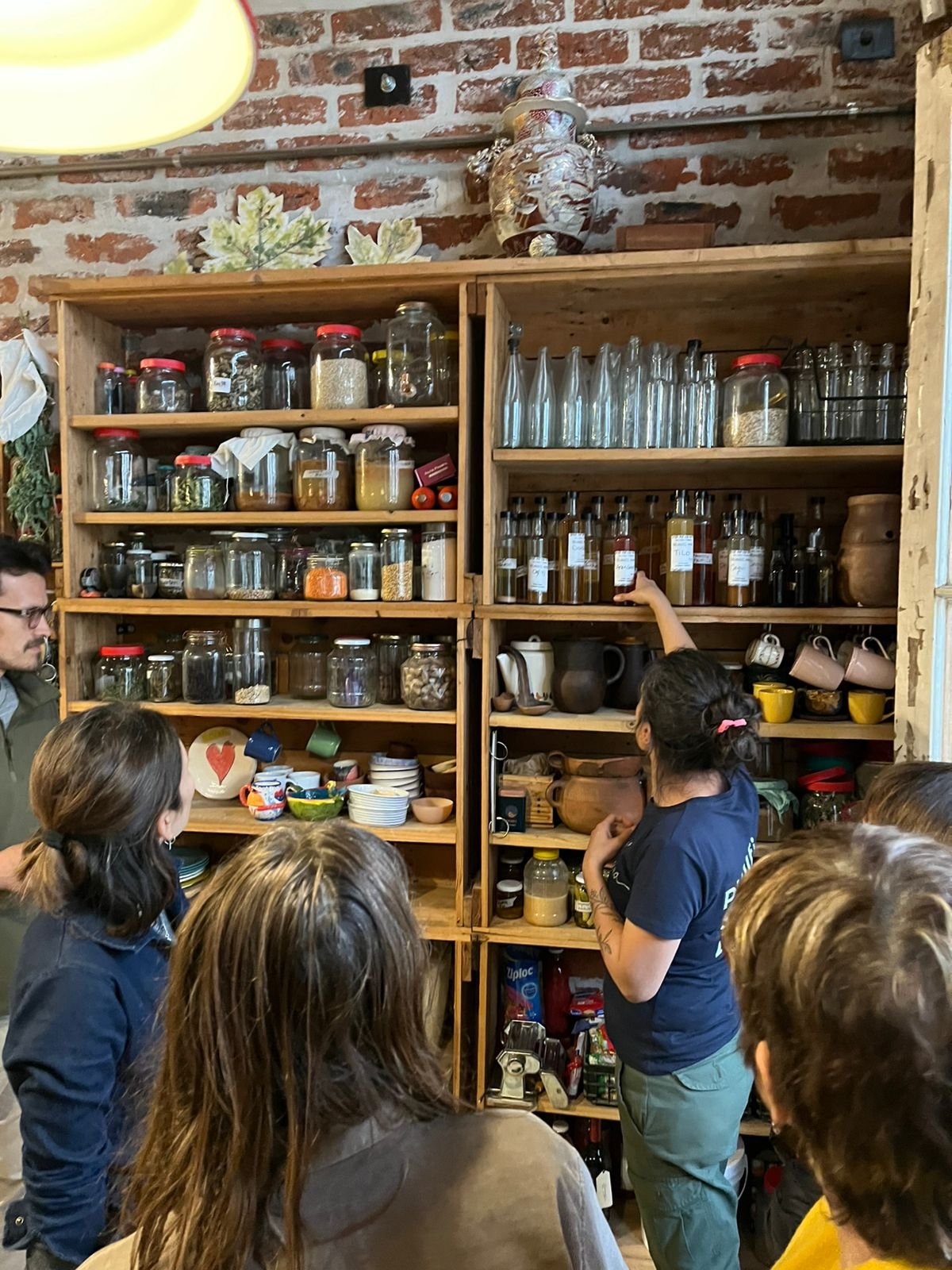 Taller de huerta Presencial - Imagen 5