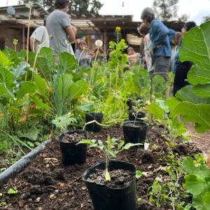 Taller de huerta Presencial